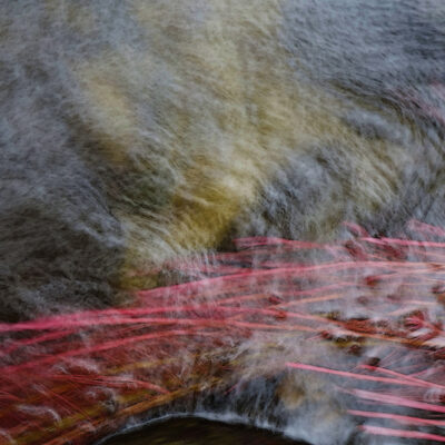 Red & water waves / / Reproduction interdite © Carles Prat